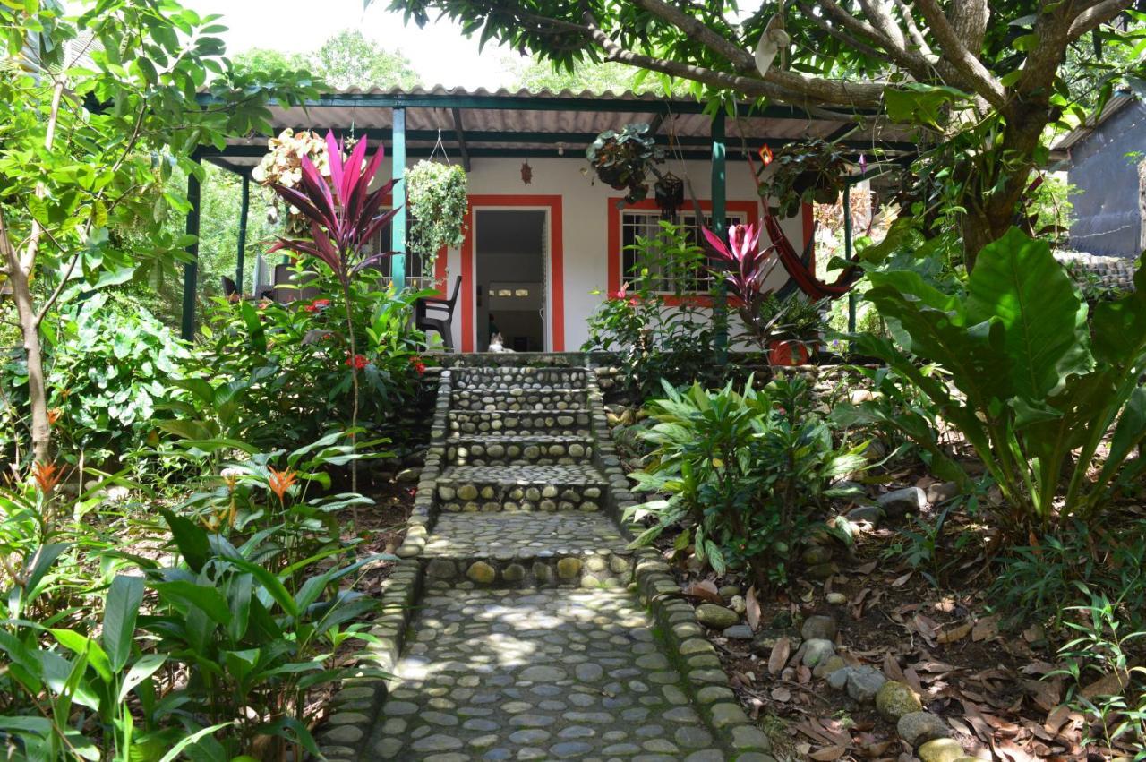 Casa Oasis De Colibri El Zaino